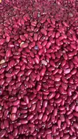 Red Beans (Wayilimu) - 2
