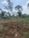 One and a Half Acres of Land for Sale in Kasawo - 3