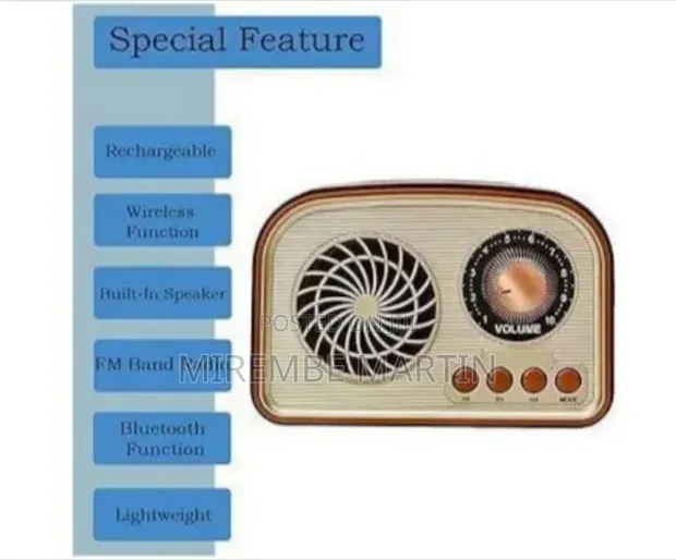 FM Radio with Bluetooth Speaker, TF, USB, AUX, Rechargeable - 1