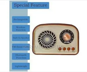 FM Radio with Bluetooth Speaker, TF, USB, AUX, Rechargeable