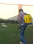 Fumigation Services by Pure Cleaning Ltd - 1