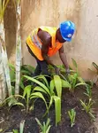 Compound Design & Landscaping Services - 3