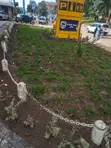 Compound Design & Landscaping Services - 4