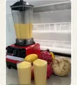 Silver Crest SC-1589 Commercial Blender - 3