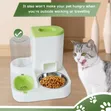 Automatic Pet Food and Water Dispenser Set - 1