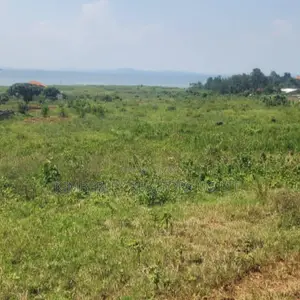 Lakeshore Land for Sale - 22 Acres, Lake Victoria, Bugiri