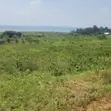 Lakeshore Land for Sale - 22 Acres, Lake Victoria, Bugiri - 1