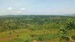 Lakeshore Land for Sale - 22 Acres, Lake Victoria, Bugiri - 3