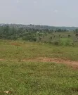 Titled Plots of Land for Sale in Kiwenda, Gayaza - 2