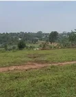 Titled Plots of Land for Sale in Kiwenda, Gayaza - 3
