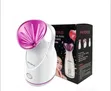 Physopus Facial Steamer - 1