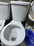 Brand New Full Set Toilet Seat - 2