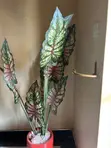 Artificial Plant and Pot - 1