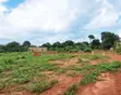 50x100ft Plots for Sale in Zirobwe - 3
