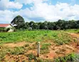 50x100ft Plots for Sale in Zirobwe - 4
