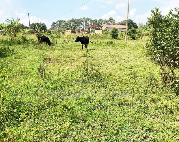 Plot for Sale in Bugema, Gayaza Road - 1