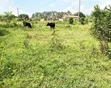 Plot for Sale in Bugema, Gayaza Road - 1
