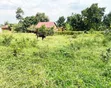 Plot for Sale in Bugema, Gayaza Road - 3