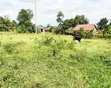 Plot for Sale in Bugema, Gayaza Road - 4