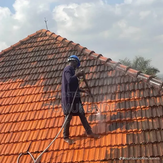 Roof Cleaning Services by Pertex Multi Services Limited - 1