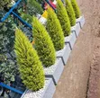 Landscape Design Services - 1