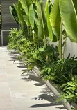 Landscape Design Services - 4