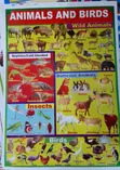 Kids Educational Waterproof Charts - Body Parts, Animals, Vowels - 5