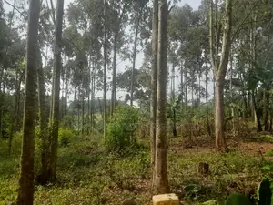 Land for Sale - Kalagala