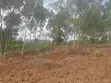 Land for Sale - Kalagala - 2