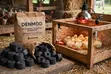 Charcoal Briquettes - 4