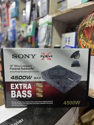 Sonny 10-Inch 4500W Under-Seat Car Subwoofer - 12V