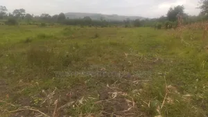 50 Acres Farmland for Sale in Ssekanyonyi