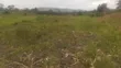 50 Acres Farmland for Sale in Ssekanyonyi - 1