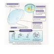 Disposable Nursing Breast Pads (10 Count) - 2