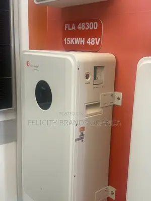 Felicitysolar 15kWh 48V Hybrid Inverter Battery