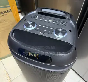 Digiwave DW-PS5019 80W Dual 8-Inch Rechargeable Party Speaker