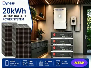 20kWh 12kVA 48V Dyness Hybrid Complete Solar System