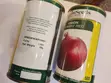 Bombay Onion Seeds - 2