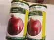 Bombay Onion Seeds - 3