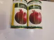 Bombay Onion Seeds - 4