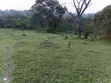 20 Acres Farmland for Sale in Mbarara - 1
