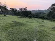 20 Acres Farmland for Sale in Mbarara - 2