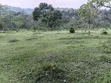 20 Acres Farmland for Sale in Mbarara - 3