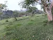 20 Acres Farmland for Sale in Mbarara - 4