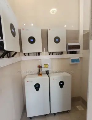25kWh Lithium Ion Battery - Felicitysolar 48V