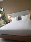 Home Ease Services - Housekeeping & Event Staff - 4