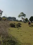 Lakefront Land for Sale in Buwaya-Entebbe - 4