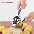 Heavy Duty Stainless Steel Shengya Lemon Squeezer - 3