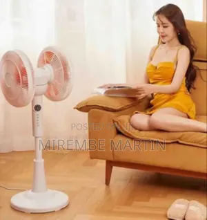 360° Double-Headed Rotating Household Air Circulation Fan