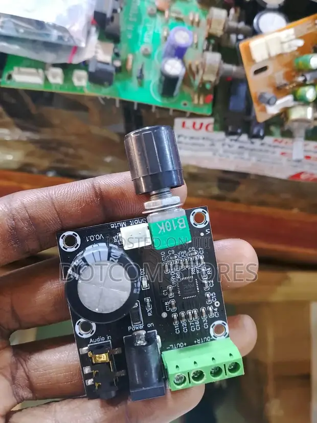Yoltec PAM8610 12V HD Digital Stereo Amplifier Board - 1